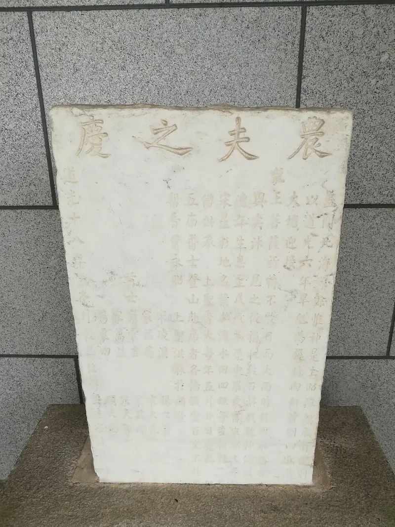 La Sete della Terra: Come la Siccità Ci Sta Restituendo l'Intelligenza Antica dell'Acqua